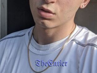 TheEnticr