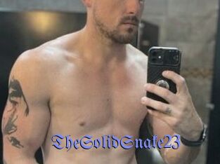 TheSolidSnake23