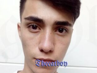 Thecatboy