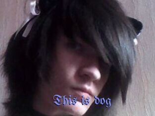 This_is_dog