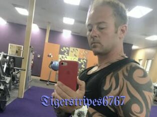 Tigerstripes6767