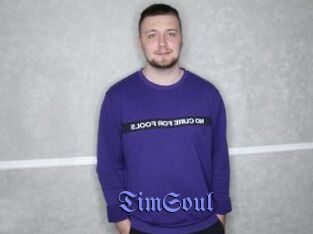 TimSoul