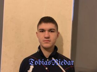 TobiasRiedar Gay Buzz