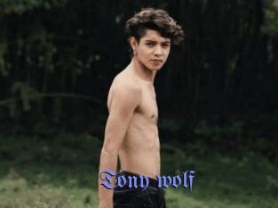 Tony_wolf