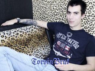 TorvinBruk