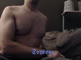 Toyboyx