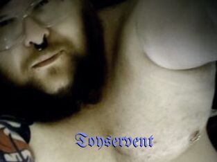 Toyservent