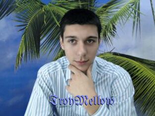 TroyMellow Gay Buzz