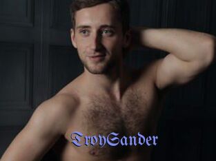 TroySander
