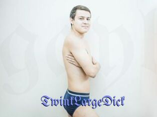 TwinkLargeDick