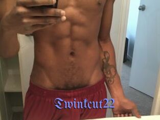Twinkcut22