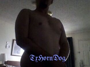 TxHornDog
