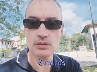 tarabas Gay Buzz