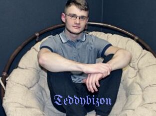 Teddybizon