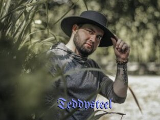 Teddysteel