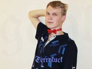 Terryluck