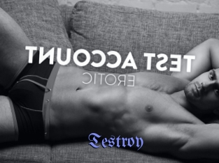 Testroy