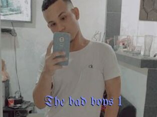 The_bad_boys_1