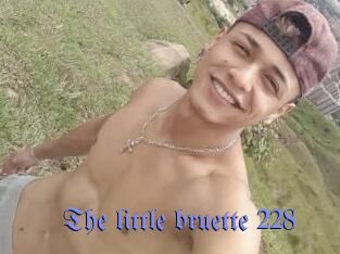 The_little_bruette_228