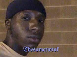 Thesametwink