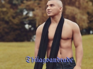 Thiiagoandrade