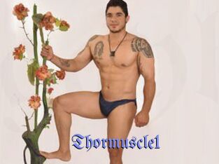 Thormuscle1