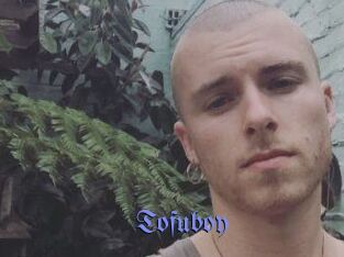 Tofu_boy