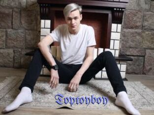 Toptoyboy
