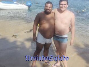 UrsinhoSafado