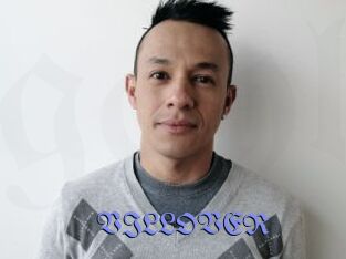 VILLOVER