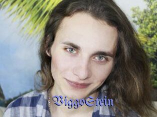 ViggoStein