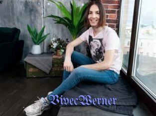 VivecWerner
