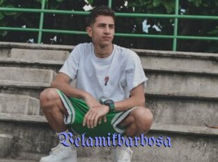 Velamikbarbosa