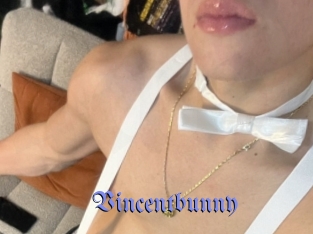 Vincentbunny