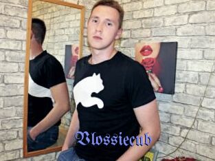 Vlossiecub
