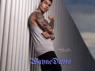 WayneDavis