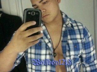 Wolfboy1213