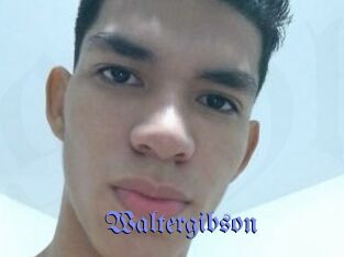 Waltergibson