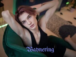 Waynering