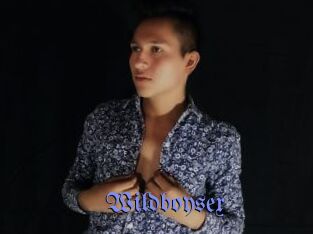 Wildboysex