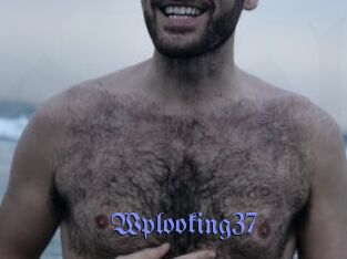 Wplooking37