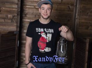 XandyFox