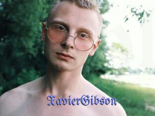XavierGibson Gay Buzz