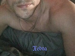 Xebra