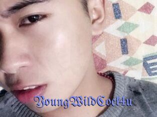 YoungWildCock4u Gay Buzz