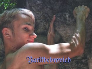 Yarikbebrovich