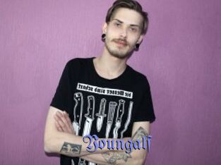 youngalf Gay Buzz