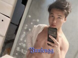 Yunfengg
