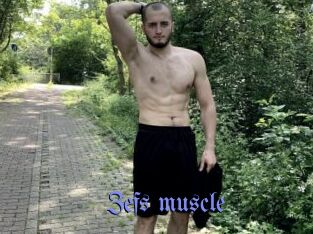 Zefs_muscle