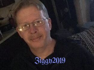Ziggy2019